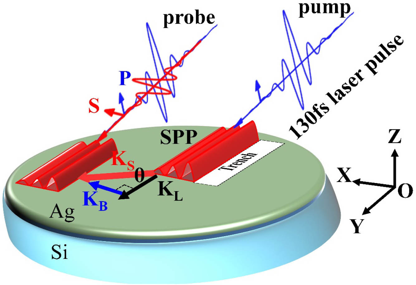 Schematic illustrations of the spatially separated pump-probe experiment of the noncollinear mode. In the pump-probe schemes, the probe is spatially and temporally offset from the pump, affording time-resolved imaging of the SPP launched away from the coupling trench structure.