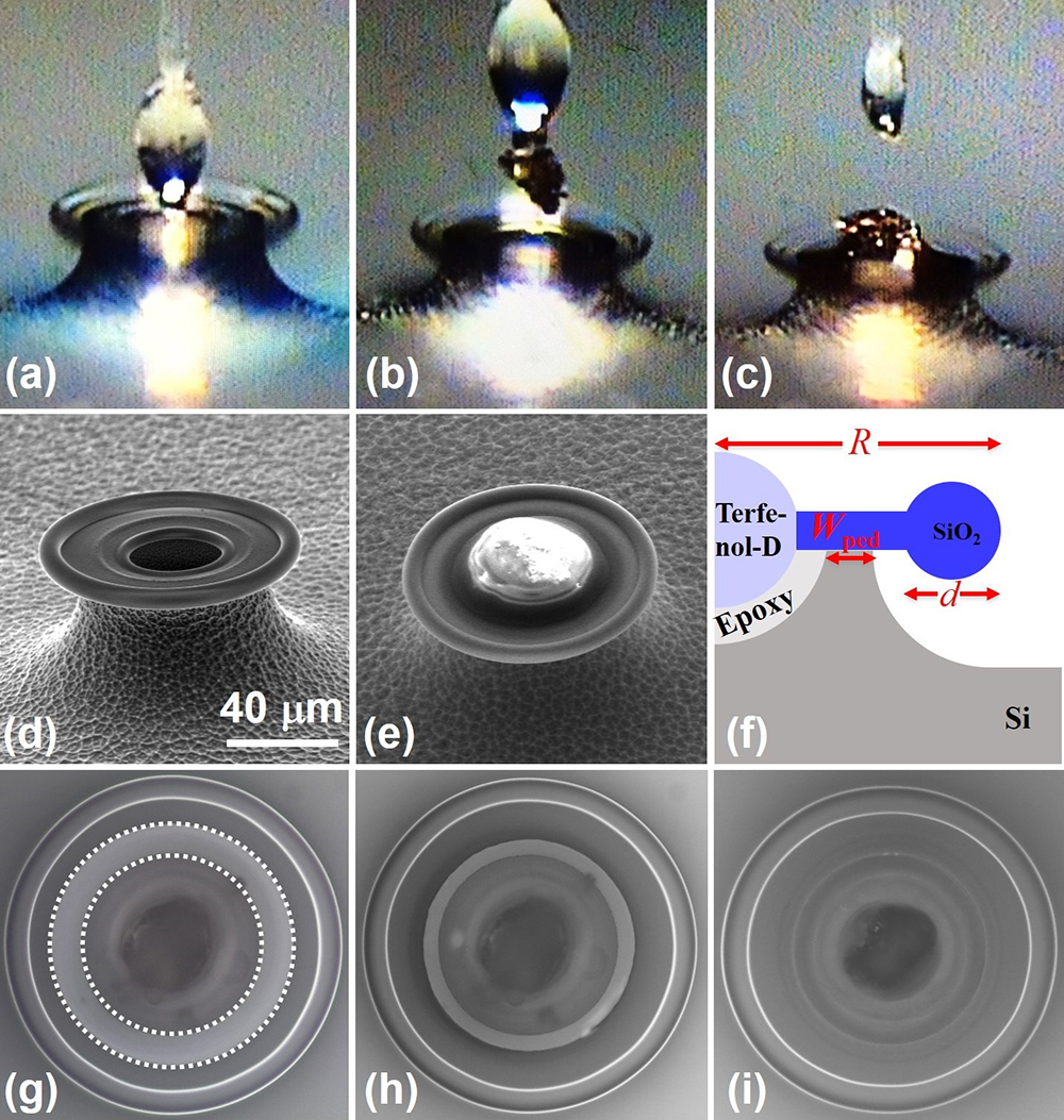 (a)–(c) Optical microscope images showing the Terfenol-D deposition process. (d) and (e) The SEM images of a microtoroid before and after the Terfenol-D deposition. The scale bar in (d) is 40 μm. (f) A schematic of the side view of a magnetometer, with a principal radius of R, minor diameter of d, and a pedestal width of Wped. (g)–(i) Top view optical microscope images of a fabricated magnetometer, with gradually decreased pedestal width, marked in the area between the two white dotted circles.