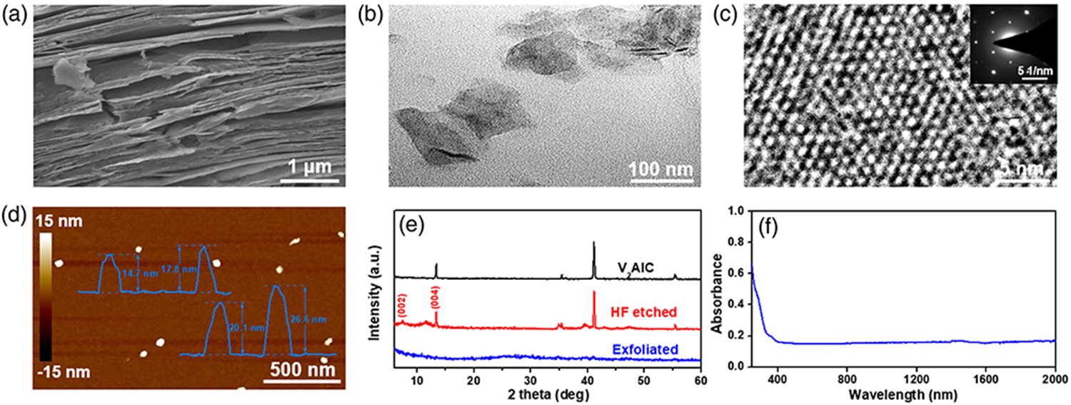 Structural characterization of MXene (V2CTx). (a) SEM image of V2C after selective removal of Al. (b) TEM image of exfoliated V2CTx nanosheets. (c) HRTEM image of exfoliated V2CTx nanosheets. (d) AFM image of exfoliated V2CTx nanosheets. (e) XRD patterns of V2AlC, V2C, and exfoliated V2CTx nanosheets. (f) UV-Vis-NIR spectrum of exfoliated V2CTx nanosheets.