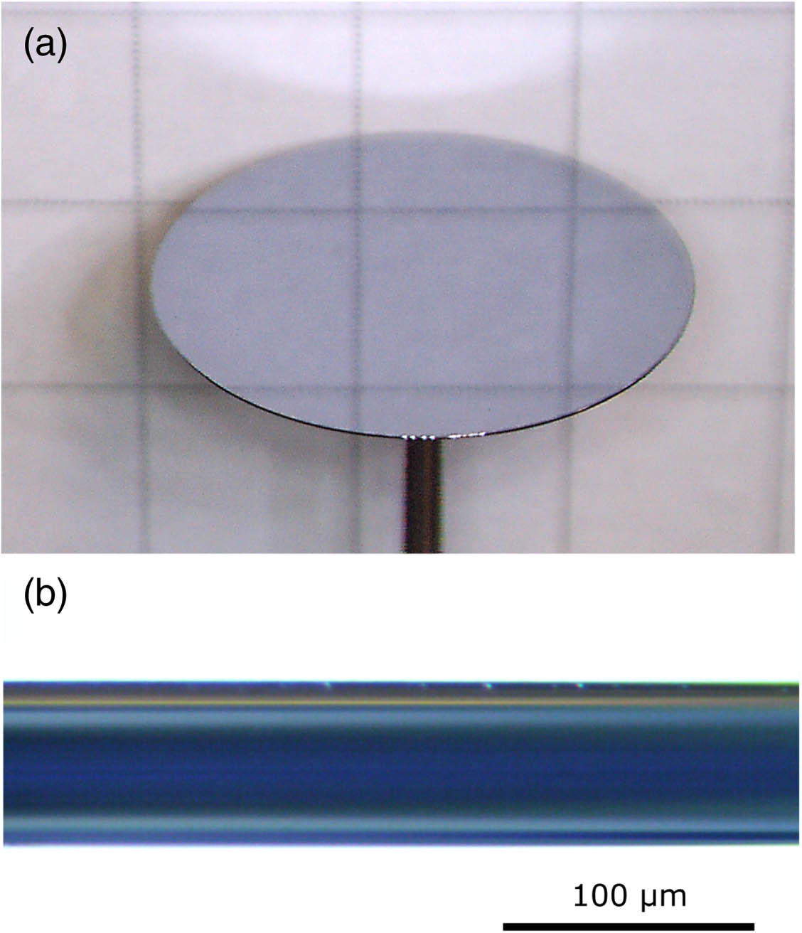 Microscope images of (a) the top and (b) the rim of the 12 mm diameter disc with (66±1) μm thickness. The thin disc resonator is mounted on a 1 mm diameter metallic rod. The different colors in the photograph are due to reflections from various light sources.