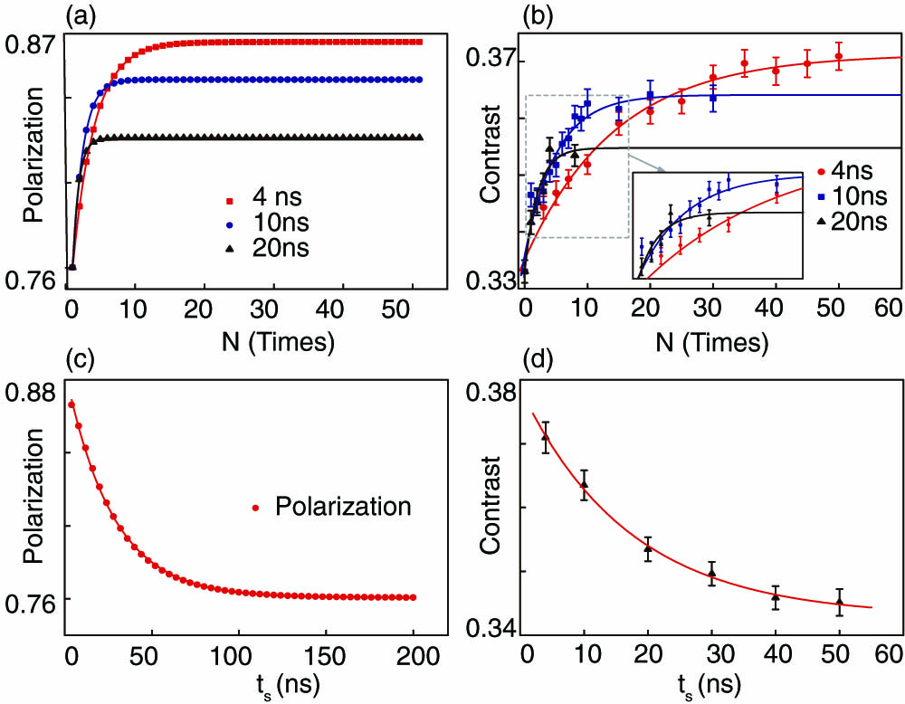 Numerical simulations and their corresponding experimental results. (a) For laser pulses with three different widths, the highest polarization that can be achieved in simulation is dependent on the repeating times N. (b) The measured contrast using different pulse widths and repetitions in Rabi experiment. (c) There is a continuous decrease of the highest polarization when the pulse width ts is increasing from 4 to 200 ns in simulation. (d) Measured polarization (contrast) for pulse widths from 4 to 50 ns. Each experimental point is obtained from 1010 Rabi sequence [Fig. 1(c)] repetitions for signal accumulation.