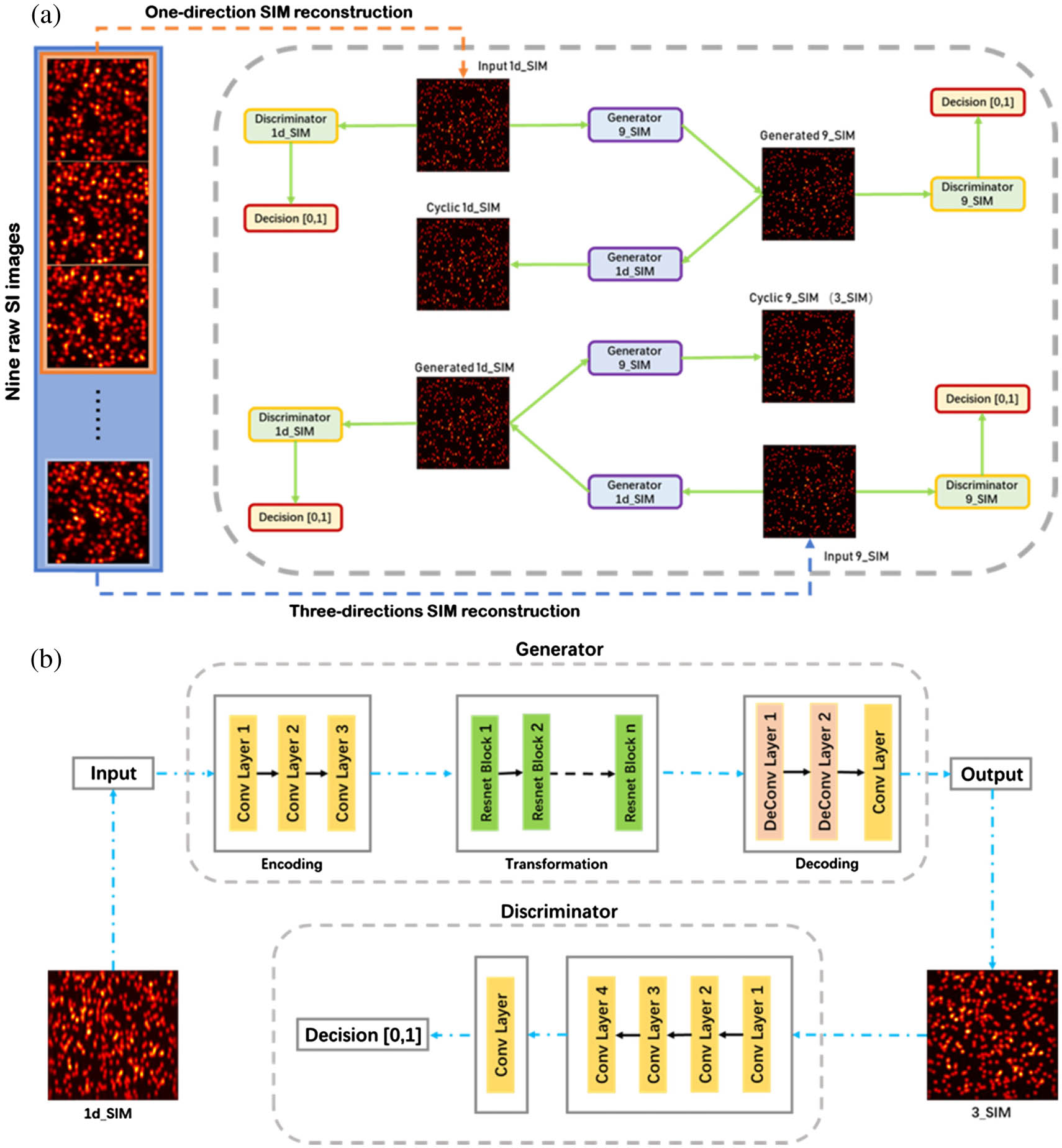 Schematics of the deep neural network trained for SIM imaging. (a) The inputs are 1d_SIM and 9_SIM images generated by nine lower-resolution raw images (using the SIM algorithm) as two training datasets with different training labels. The deep neural network features two generators and two discriminators. These generators and discriminators are trained by optimizing various parameters to minimize the adversarial loss between the network’s input and output as well as cycle consistency loss between the network’s input image and the corresponding cyclic image. The cyclic 9_SIM in the schematics is the final image (3_SIM) desired. (b) Detailed schematics of half of the CycleGAN training phase (generator 1d_SIM and discriminator 9_SIM). The generator consists of three parts: an encoder (which uses convolution layers to extract features from the input image), a converter (which uses residual blocks to combine different similar features of the image), and a decoder (which uses the deconvolution layer to restore the low-level features from the feature vector), realizing the functions of encoding, transformation, and decoding. The discriminator uses a 1D convolution layer to determine whether these features belong to that particular category. The other half of the CycleGAN training phase (generator 9_SIM and discriminator 1d_SIM) is the same as this.