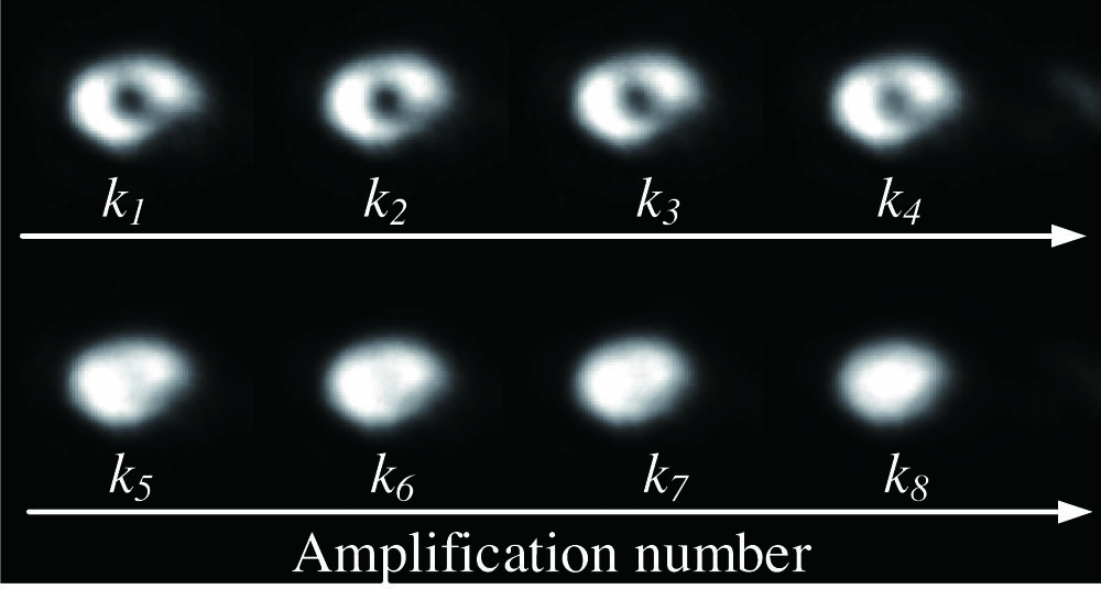 Evolution of an optical vortex seed with l=1 in a conventional RA and the amplification number kn=4n−3.