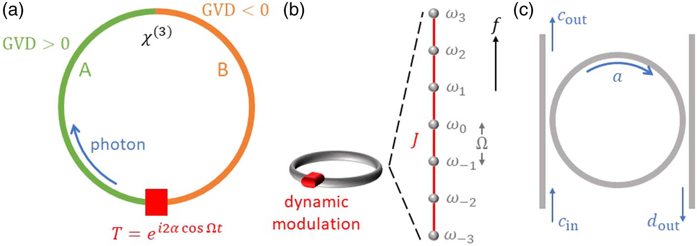 (a) A ring resonator, composed by two types of single-mode waveguides A and B, undergoing the dynamic modulation. (b) A ring under the dynamic modulation supports a synthetic lattice along the frequency dimension. (c) The ring is coupled with the through-port and drop-port waveguides.