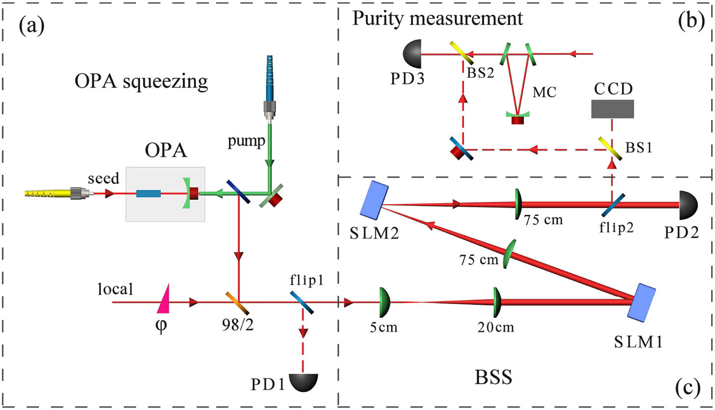 Schematic of the experimental setup. The squeezed state in the HG00 mode of the OPA is first measured at PD1 with flip1. The BSS changes the spatial profile of the light, and the squeezing level is then measured at PD2. Flip2 is used to direct the generated modes for purity measurement. PD, photoelectric detector; HWP, half-wave plate; BS, beam splitter; MC, mode cleaner.