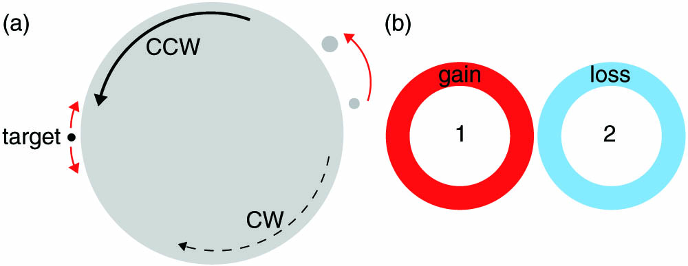 Two proposals for EP-based sensors. (a) Microdisk cavity with two external scatterers (particles or nano-tips on the right) which implement an EP2 by generating fully asymmetric backscattering. As a result, only one mode [here counterclockwise (CCW) propagating] of the given mode pair exists. A target particle shown on the left induces additional backscattering, leading to an enhanced frequency splitting. (b) PT-symmetric pair of microrings, one with gain (ring 1) and one with loss (ring 2).