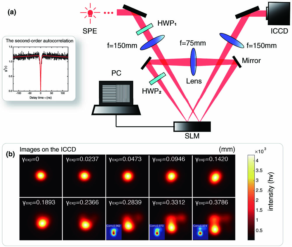 Experimental setup and deflection images. (a) Single photons from a single photon emitter (SPE) are sent to the sequential weak measurement setup. The single photon property is characterized by the second order autocorrelation function, in which the dip at the zero delay time is fitted to be g2(0)=0.025. The polarization of the single photons is set by a half-wave plate (HWP1). A lens (f=150 mm) is used to focus the photon to the right screen of the spatial light modulator (SLM) for the horizontal weak coupling, where the hologram loaded is a vertical grating. The coupling strength is adjusted by changing the density of the grating. The photons are then refocused on the left screen of the SLM by a lens with f=75 mm for the vertical coupling, where the hologram loaded is a horizontal grating with the same density. The HWP2 is used to rotate the polarization of the photon before the screen to adjust the direction of the pointer. The photons are then finally detected by an intensified charge coupled device (ICCD) in the focus plane of a lens with f=150 mm. (b) The images of photon distributions detected by the ICCD with different coupling strengths γexp. The inserts with blue background are the theoretical predictions of the corresponding experimental images when γexp>0.2366, and the Corr represents the correlation value between experimental and theoretical images.