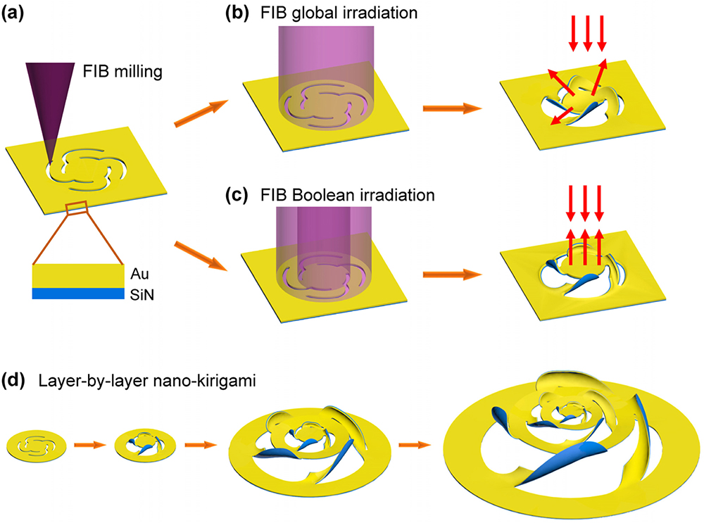 Nano-kirigami on Au/SiN bilayer nanofilms. (a)–(c) Schematic illustration of nano-kirigami schemes by (a) FIB milling of a 2D pinwheel, (b) a 3D deformed pinwheel under FIB-based global irradiation, and (c) a 3D deformed pinwheel with flat central part under FIB-based Boolean-type irradiation. The wholly deformed pinwheel in (b) diffuses normally incident light, while the flat central plate in (c) reflects the light vertically under various deformed height, as noted by the red arrows. (d) Illustration of a four-layer pinwheel structure designed by cascaded FIB milling and Boolean irradiation.