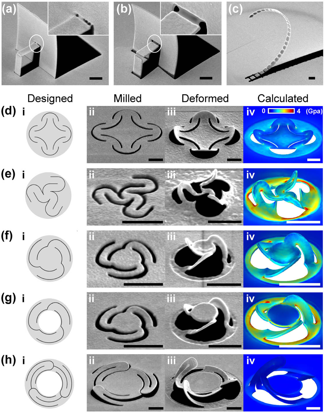 (a), (b) SEM images of a pop-up plate structure fabricated by nano-kirigami on (a) an Au monolayer film and (b) an Au/SiN bilayer film. Insets show the zoom-in SEM image of the scanned line at the upper hinge. The inset of (a) shows a discontinuous boundary while the inset of (b) shows a clean cut and a smooth boundary. (c) A serial of gold plates isolated on a curved Au/SiN stripe. (d)–(h) (i) Designed and (ii) milled 2D patterns on Au/SiN bilayer films, as well as corresponding (iii) fabricated and (iv) calculated 3D nanostructures (with colors denoting the stress distributions), in different nano-kirigami schemes. (d) A symmetric flower-like structure under global irradiation. (e) A highly asymmetric three-arm pattern under global irradiation. (f) A three-arm pinwheel under global irradiation, showing curved deformation at the central part. (g) A three-arm pinwheel under Boolean irradiation, without any deformation in the central part. (h) A deformed mirror with three folded arms, with flat and large central part. The simulation results, with modified mechanical models, are in good agreement with the experimental results in all these five schemes. Scale bars: 1 μm.