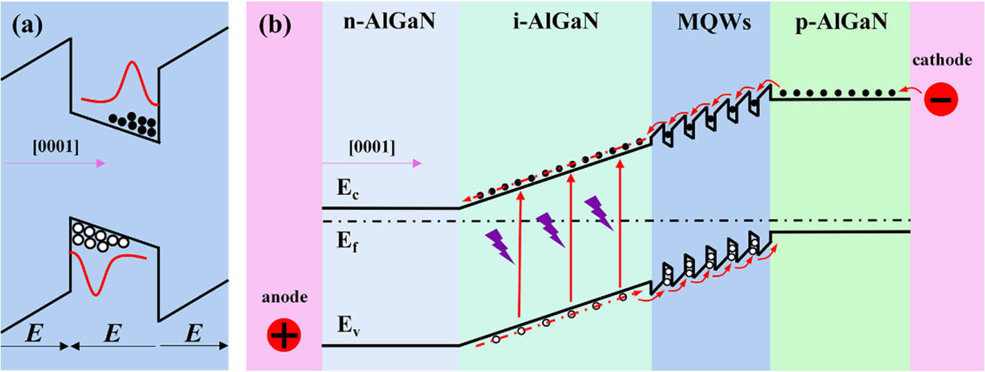 (a) QCSE in a single quantum well. (b) Energy band diagram of AlGaN SBUV p-i-n photodiode with MQW in the intrinsic depletion region.