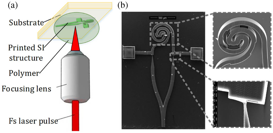 (a) The SI structure fabrication with direct laser writing on a substrate. (b) The microscope image and the SEM image of the SI device printed on a substrate.