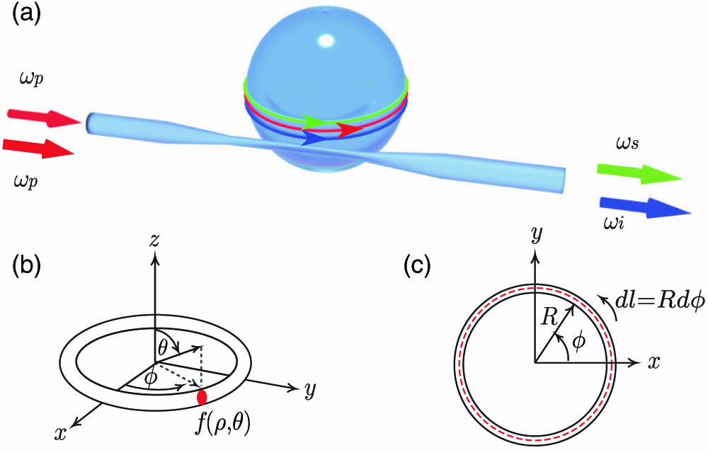 (a) Schematic of an SFWM photon pair source based on a fused silica microsphere, evanescently coupled to a fiber taper placed in closed proximity; (b) transverse mode of propagation around the sphere perimeter; (c) top view of the guided mode.