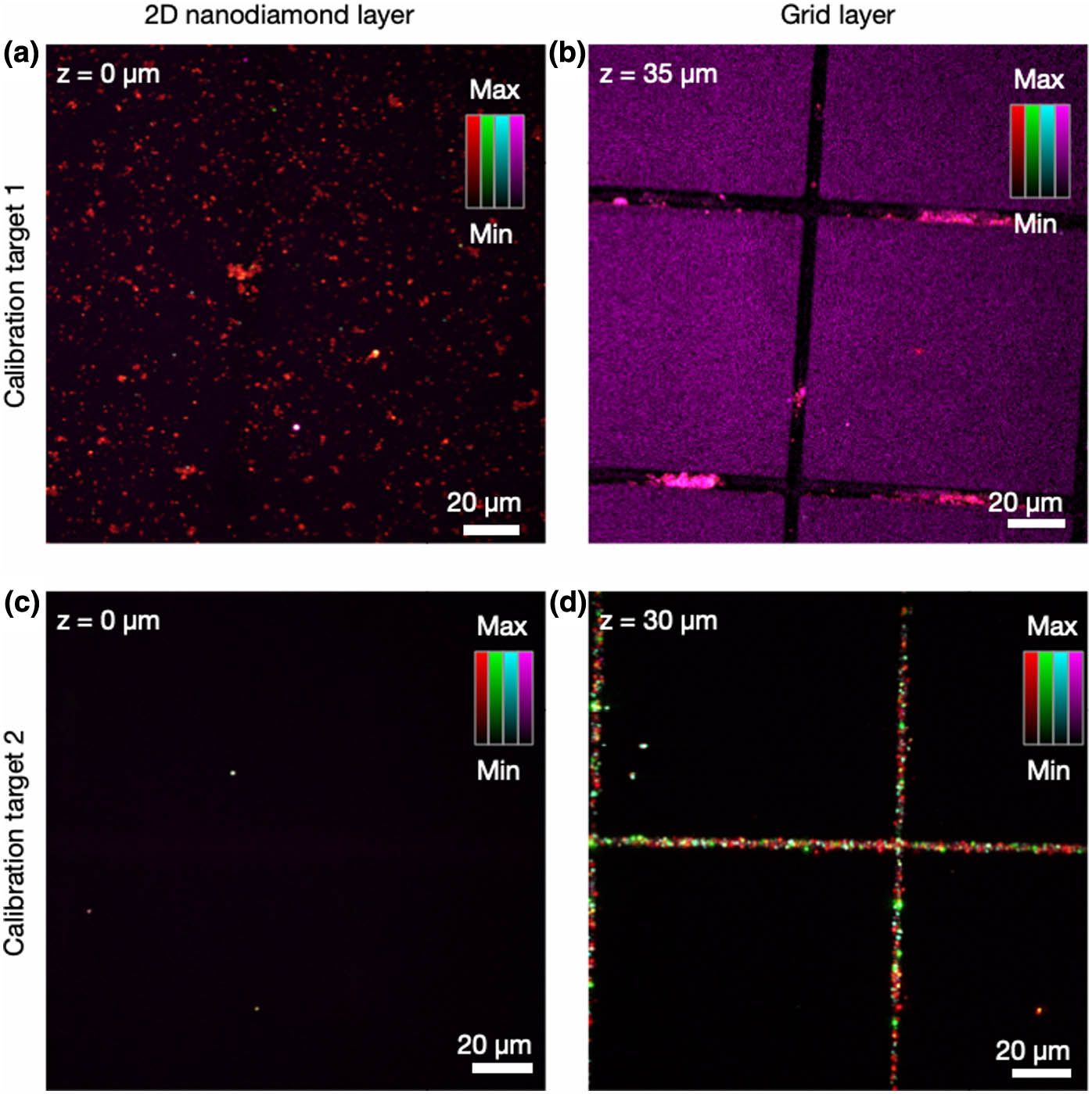 Simultaneous four-channel multiphoton imaging of different types of calibration targets. (a) A dense lawn of 100 nm nanodiamond particles with NV color centers. (b) Locator grid with embedded 100 nm nanodiamonds is strongly visible in purple as well as in red channels. (c) Sparse nanodiamond particles deposited on a coverslip. (d) Locator grid with embedded 700 nm nanodiamond particles.