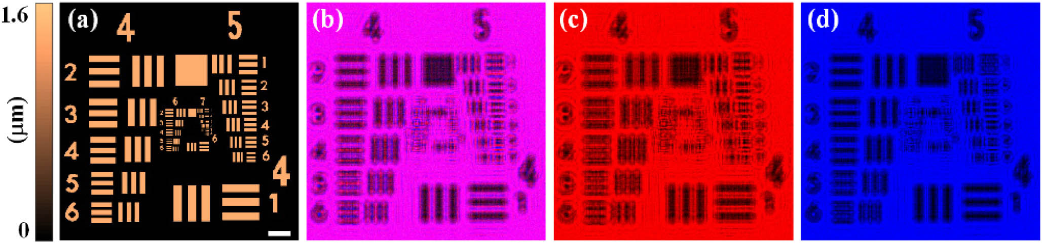 Simulation results of the numerical phase target for the single-shot DIDH. (a) The simulated optical thickness distribution of the object. (b) The simulated single-shot recorded dual-wavelength in-line hologram calculated at z=10 mm. (c) and (d) are the extracted single-wavelength holograms from (b). The white scale bar measures 200 μm.