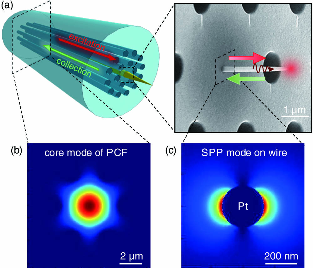 PCF-nanoantenna hybrid probe. (a) Schematics of the device. (b) Simulated intensity profile of fundamental guided mode in the PCF at 560 nm wavelength. (c) Simulated intensity profile of HE11 mode on a metallic nanowire waveguide at the same wavelength.