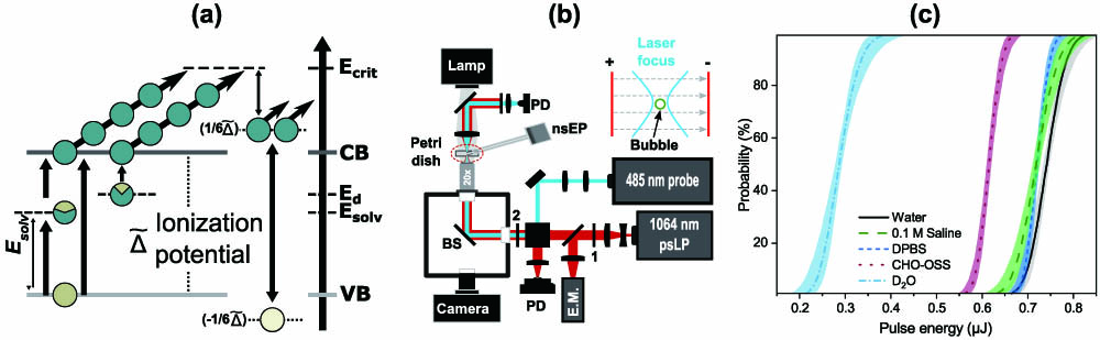 Experimental design. (a) Tentative band structure of biological solution and plasma dynamics during the optoelectrical breakdown process. (b) Schematic representation of opto-electrical breakdown setup for bubble formation and detection with red indicating 1064 nm beam path and cyan indicating 485 nm probe beam path. Abbreviations indicate polarizing beam splitter cube (PBS), beam splitter (BS), pulse energy meter (E.M.), dichroic beam splitter (DBS), 750 nm short-pass filter (SPF), and photodiode (PD). Numbers 1 and 2 indicate respectively half-wave plates and 20×0.4 NA microscope objective. (c) Probit analysis curves and 95% confidence intervals of breakdown threshold (Eth) measurements across various biologically relevant sample solutions (MiliQ Milipore 18 MW · cm water, 0.1 M saline solution, DPBS, physiological imaging buffer, and D2O).