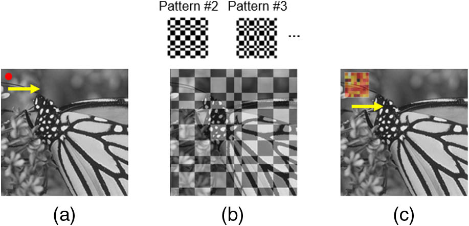 Landscape of imaging methods using a single-pixel detector. (a) Point scanning system where the signal from an individual pixel is sequentially recorded. (b) A conventional single-pixel camera where different patterns are sequentially projected on the entire object, and the overlap integrals between the object and each pattern are measured. (c) Deep compressed imaging via optimized pattern scanning (DeCIOPS), where a pattern is scanned across the object, and the subsampled convolution between the pattern and the object is measured.