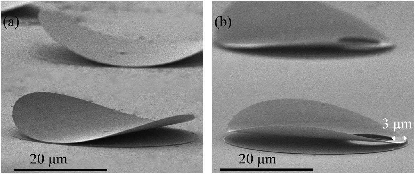 SEM images of (a) warped 40 μm microdisk and (b) warped 40 μm microring.