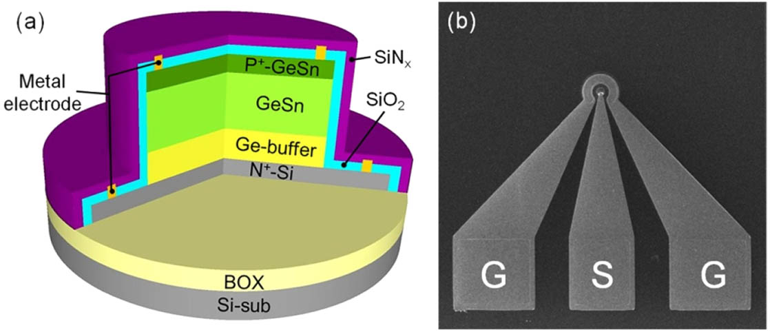 (a) 3D structure schematic of the normally illuminated p-i-n Ge0.951Sn0.049 photodetector. (b) Top-view SEM image of the device with a 10 μm diameter mesa.