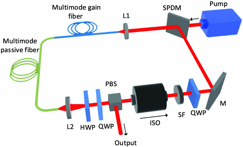 Schematic of the multimode fiber cavity setup. SPDM, short-pass dichroic mirror; L1 and L2, collimating lens; M, reflective mirror; HWP, half-wave plate; QWP, quarter-wave plate; PBS, polarized beam splitter; ISO, isolator; and SF, spectral filter.