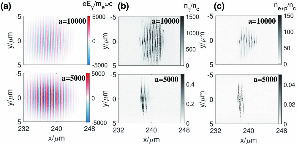 Distributions of (a) laser electric fields Ey (b) γ photons density nγ as well as (c) electron–positron density ne+p at tf=300T0 and ne0=1011 cm−3 for a=10000 (top panel) and a=5000 case (bottom panel), respectively. The Ey is normalized by meωc/e, while densities are normalized by critical density nc.