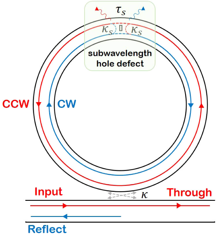 Schematic diagram of the proposed SHDA-MRR structure (not to scale). A subwavelength hole defect is embedded in the microring waveguide of a conventional all-pass microring resonator for generating manipulated backward scattering and inter-cavity modal coupling between CW and CCW modes.