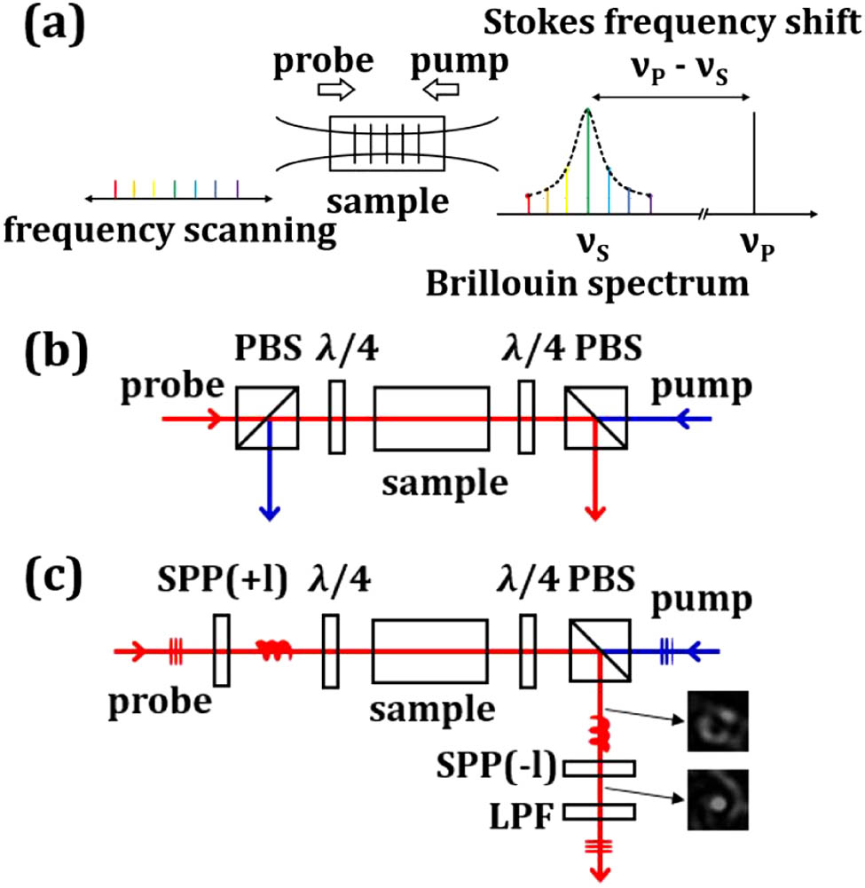 Schematic diagrams. (a) Pump-probe technique. (b) Collinear polarization splitting configuration. (c) Orbital angular momentum mode division filtering. SPP, spiral phase plate; PBS, polarized beam splitter; λ/4, quarter-wave plate; and LPF, low-pass filter.
