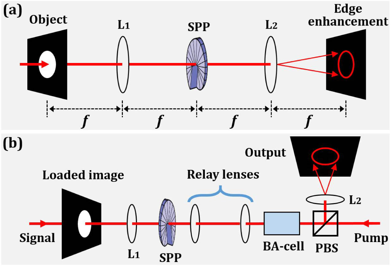 Schematic diagrams. (a) Generic spiral phase imaging. (b) Proposed optical nonlinear operation for on-demand tailoring of Brillouin signal. L, lens; SPP, spiral phase plate; BA cell, Brillouin amplifier cell; and PBS, polarized beam splitter.