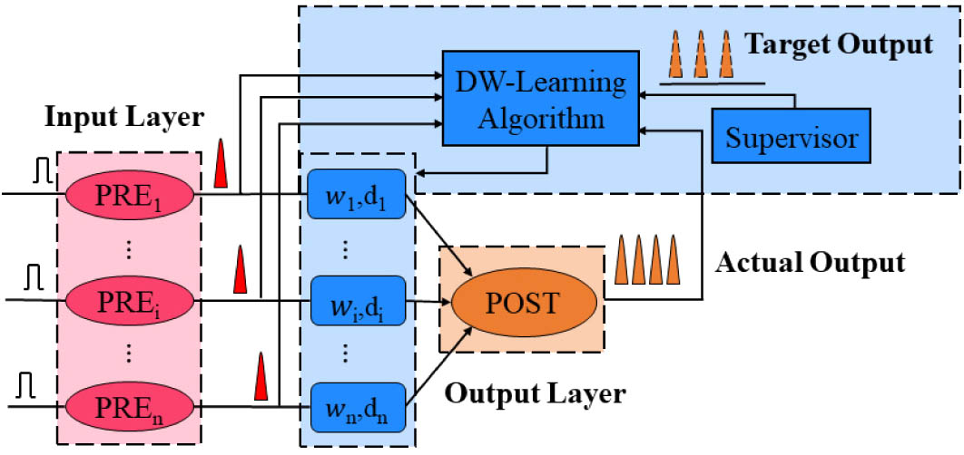 Schematic diagram of DW-based learning in a single-layer photonic SNN.