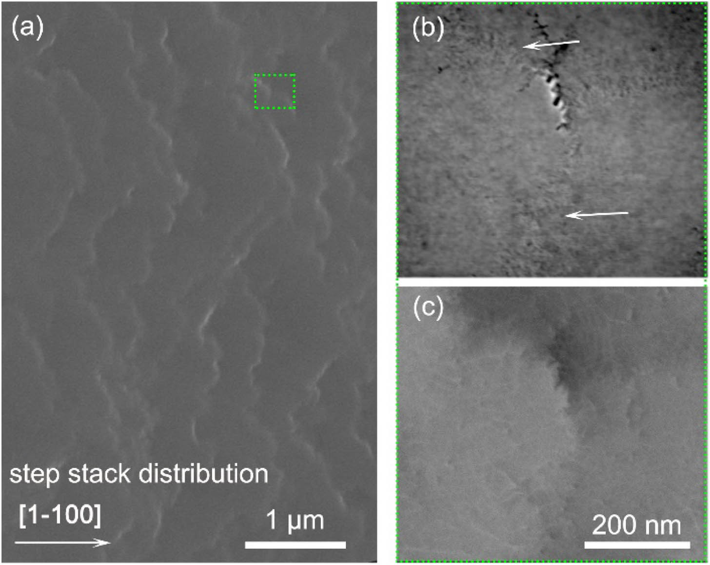 (a) Top view SEM image of the surface of UV LED; (b) zoom-in view image near the step edge as indicated by the green box and (c) corresponding ECCI graph.