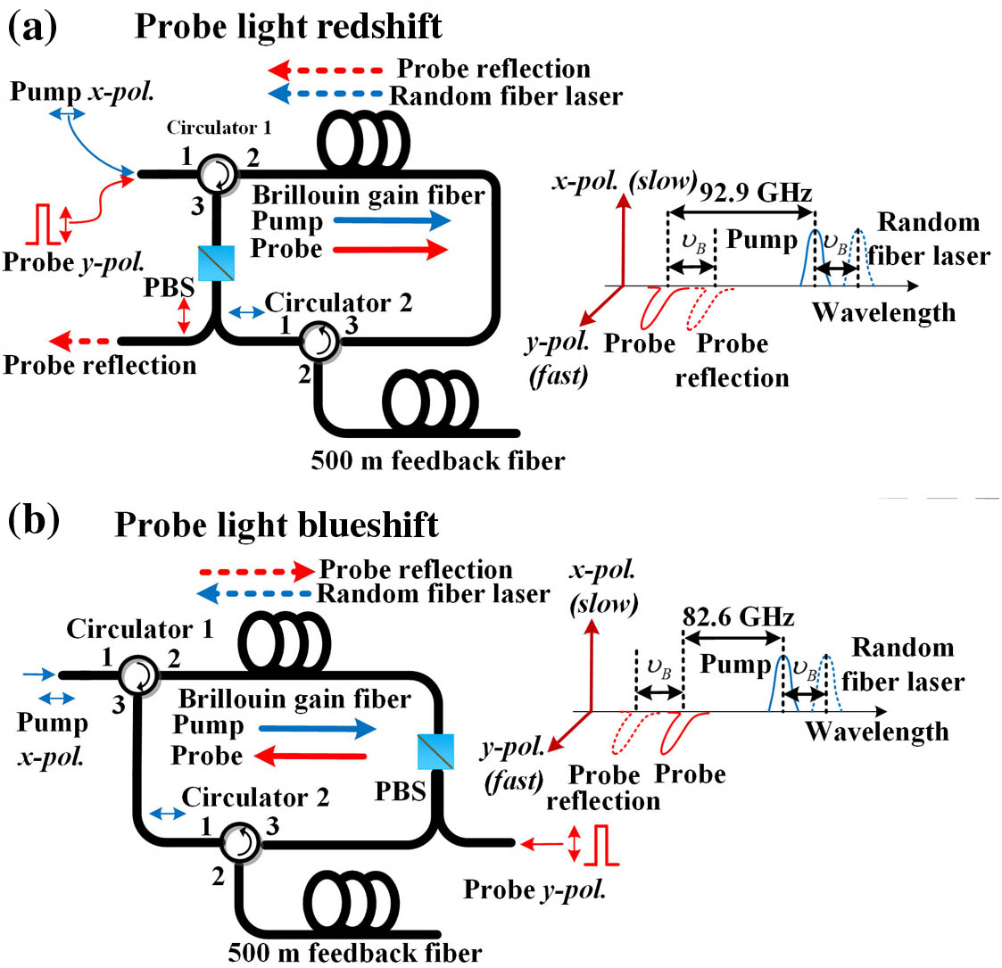 Configuration of the BRFL and the operation principle of acoustic wave detection when (a) the probe light co-propagates with the acoustic wave and (b) the probe light counter-propagates with the acoustic wave.