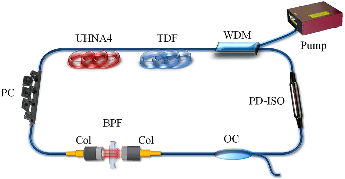 Schematic of the dissipative soliton Tm-doped fiber laser.