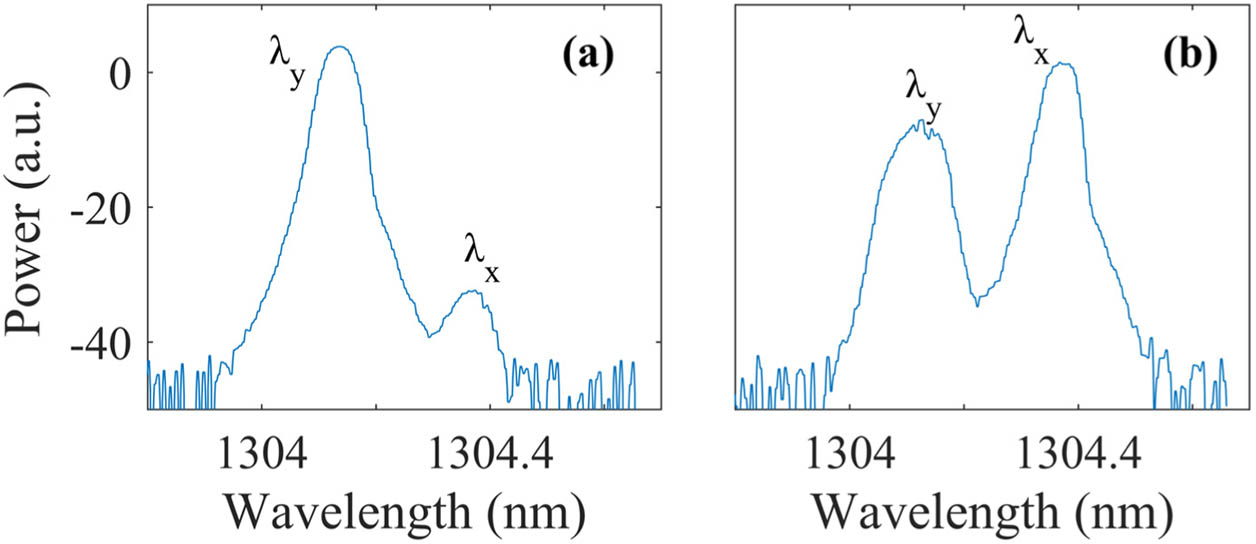 (a) Optical spectrum of free-running VCSEL used in the experiment. (b) Optical spectrum of the VCSEL subject to constant optical injection. Two polarization modes of VCSELs are referred to as λy (parallel) and λx (orthogonal).