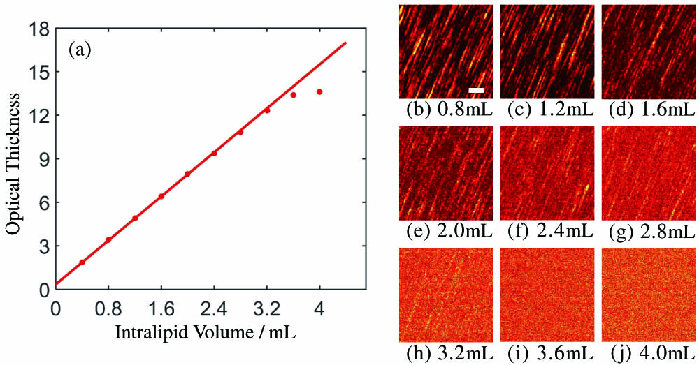 Optical thickness of intralipid suspensions with respect to its density. (b)–(j) Speckle patterns corresponding to different densities. Scale bar: 200 μm.