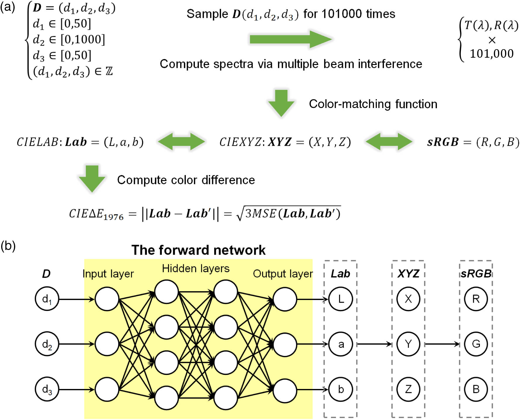 Forward neural network for predicting F-P cavity structural colors. (a) The relationships of different parameters in the dataset. The single arrow means the transformation is unidirectional, the double arrow means the transformation is reversible. (b) The architecture of the forward neural network with input layer of geometric parameter D, hidden layers, and output layers of Lab color values.