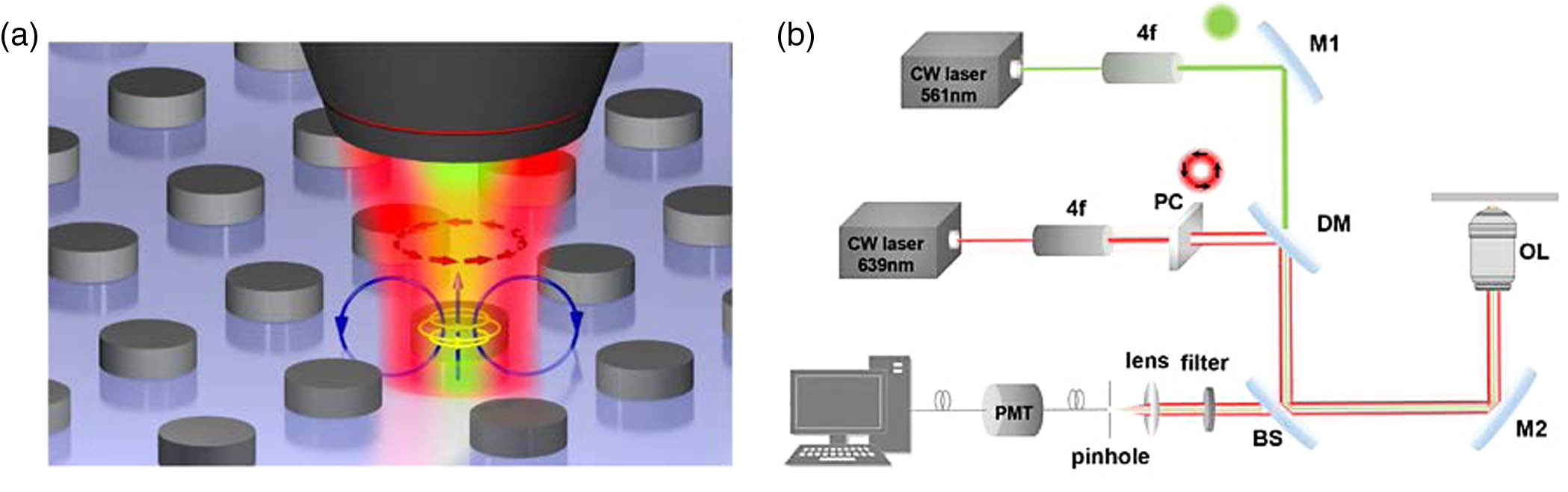 Schematic illustration of the superlocalization imaging and experimental setup. (a) The principle of superlocalization imaging is based on scattering suppression of Si nanodisks at the peripherals of the doughnut-shaped AP saturation beam. (b) Diagram of the reflectance laser scanning confocal system. M1, M2, silver mirrors; DM, dichroic mirror; BS, beam splitter; OL, objective lens; PC, polarization converter.