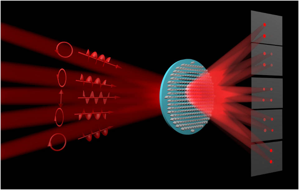 Schematic of the spin-decoupled metalens with intensity-tunable multiple focal points. Under the illumination of LCP THz waves, two RCP focal points are generated, while two LCP focal points can be observed for the incident RCP THz waves. The intensity between two RCP focal points and two LCP focal points can be arbitrarily modulated with different weights of LCP and RCP incident THz waves.