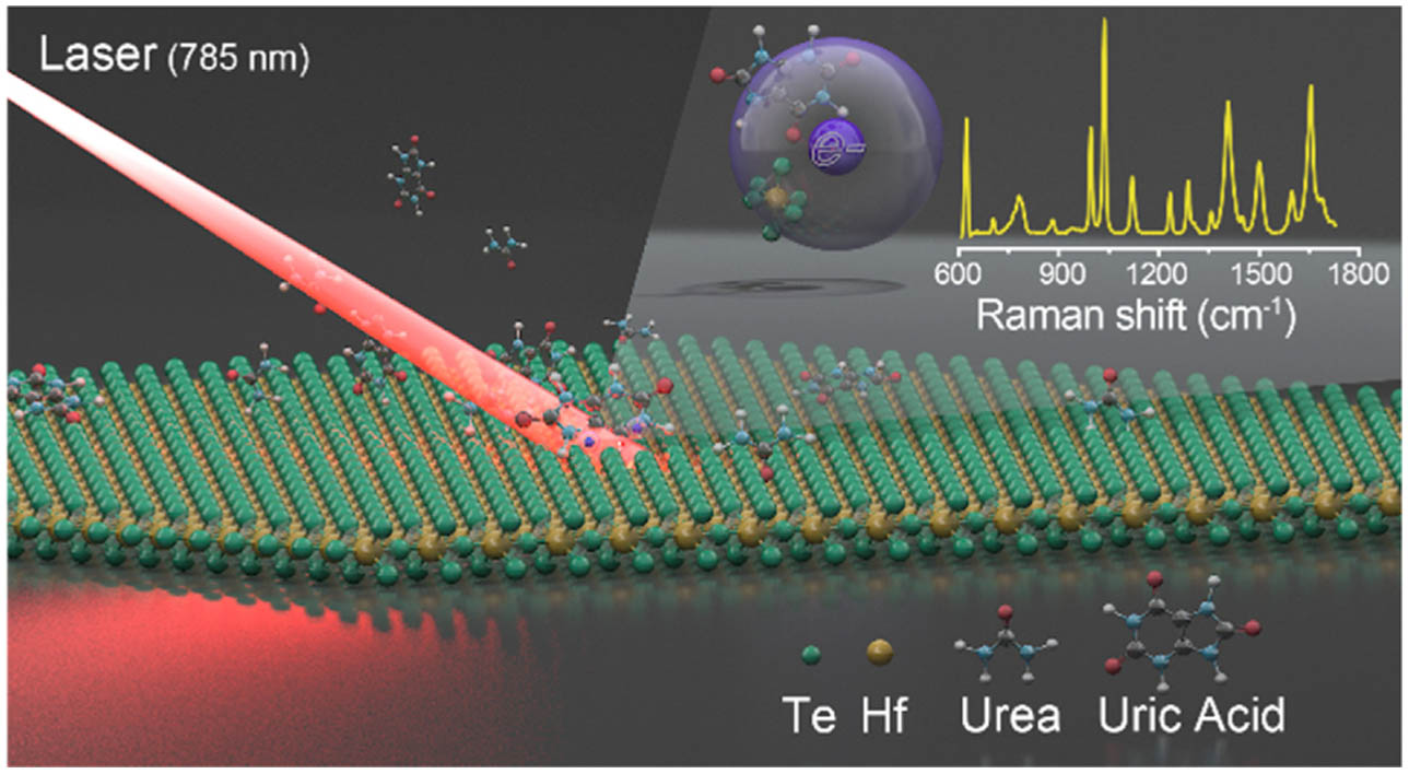 Schematic illustration of the SERS detection of uric acid based on HfTe2 nanosheets.