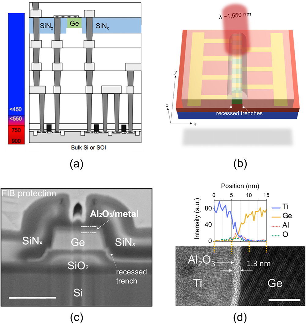 Recess-strained GOI photodiodes for PICs. (a) Schematic showing the integration of high-quality recess-strained Ge photodiodes with CMOS circuits at back-end-of-line (BEOL). (b) A 3D schematic of a normal-incidence recess SiNx-strained GOI MSM photodiode. The waveguide-shaped Ge is along the ⟨100⟩ direction. Color-coded layers: purple, Si; red, SiO2; green, Ge; gold, contact metal; semitransparent, tensile SiNx. (c) Cross-sectional SEM image of a fabricated device. Scale bar: 1 μm. (d) (Bottom) Cross-sectional TEM image at the Ge/Al2O3/metal interface as shown by the arrow in (c). Scale bar: 10 nm. The corresponding elemental mapping profiles are shown at the top.