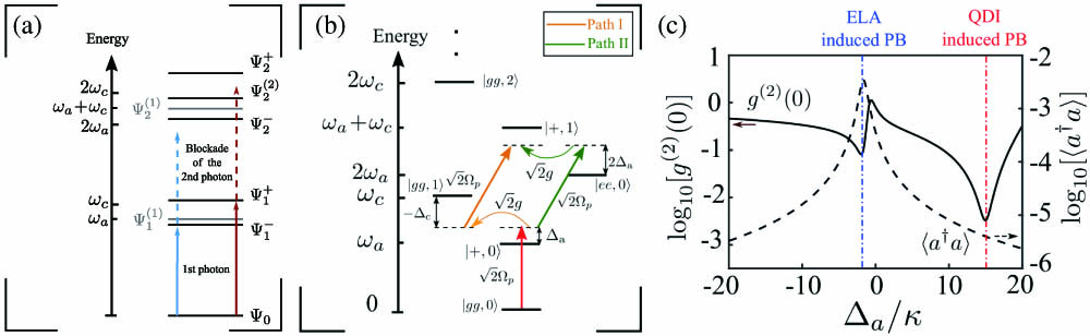 (a), (b) The anharmonic ladder-type energy structure and the destructive interference pathways for the ELA-based and QDI-induced PBs, respectively. In (a), the absorption of a second photon of the pump field will be blocked due to the large energy mismatch if the pump field is tuned to the state Ψ1(±) as denoted by the blue and red arrows, respectively. In (b), two interference pathways from state |+,0⟩ to state |+,1⟩ are indicated by the yellow and green arrows, respectively. (c) The equal-time second-order correlation function g(2)(0) (solid curve) and mean photon number ⟨a†a⟩ (dashed curve) as a function of the normalized detuning Δa/κ. Here, we chose J=0, Δc=−30κ, g=5κ, γ=κ, and Ωp=0.1κ.