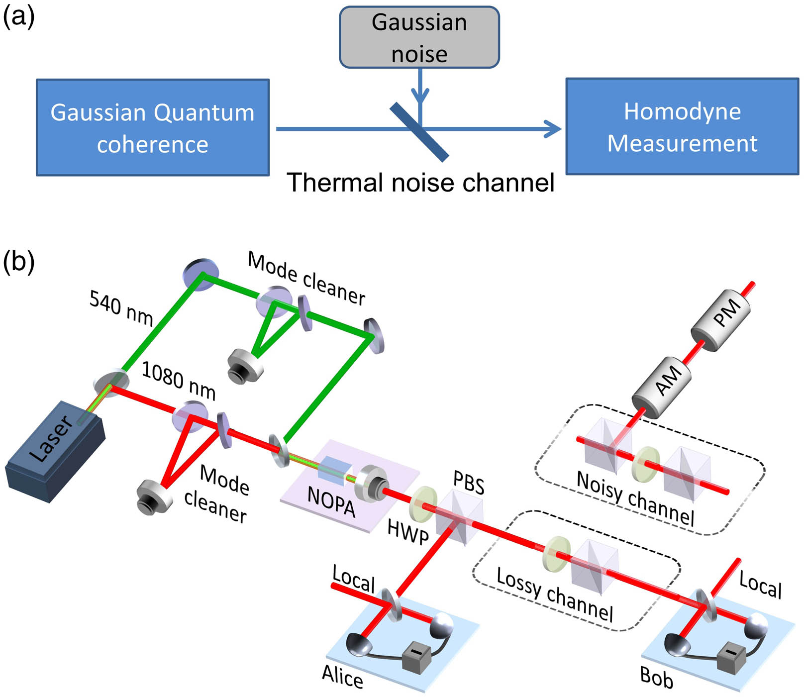 (a) Schematic of transmitting the quantum coherence of a Gaussian state in a thermal noise channel. (b) Experimental setup. The 1080 nm and the 540 nm laser outputs from the Nd:YAP/LBO laser pass through two mode cleaners and are injected into the NOPA as signal light and pump light, respectively. The output modes of the PBS behind the NOPA are an amplitude squeezed state (transmitted mode) and a phase squeezed state (reflected mode) or EPR entanglement state, when the HWP behind the NOPA is set to 22.5° or 0°, respectively. We use homodyne detectors to measure the output modes and a digital storage oscilloscope to record the experimental data. The interference efficiencies of homodyne detectors are 99%, and the quantum efficiencies of photodiodes (LASER COMPONENTS, InGaAs-PD-500um) are 99.6%. AM, amplitude modulator; PM, phase modulator.