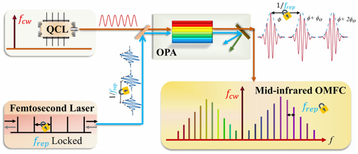 Schematic of an individual mid-infrared OMFC. A mid-infrared CW ICL/QCL is combined with a near-infrared femtosecond laser, whose repetition rate frep is locked. Then they are injected into an optical parametric amplifier (OPA). Thus, the mid-infrared OMFC is formed after the OPA process. In the process, the CW signal is pulsed and amplified. The generated mid-infrared pulse sequence inherits the frequency fcw of the ICL/QCL, and its repetition rate is determined by the pump source in the optical frequency domain.