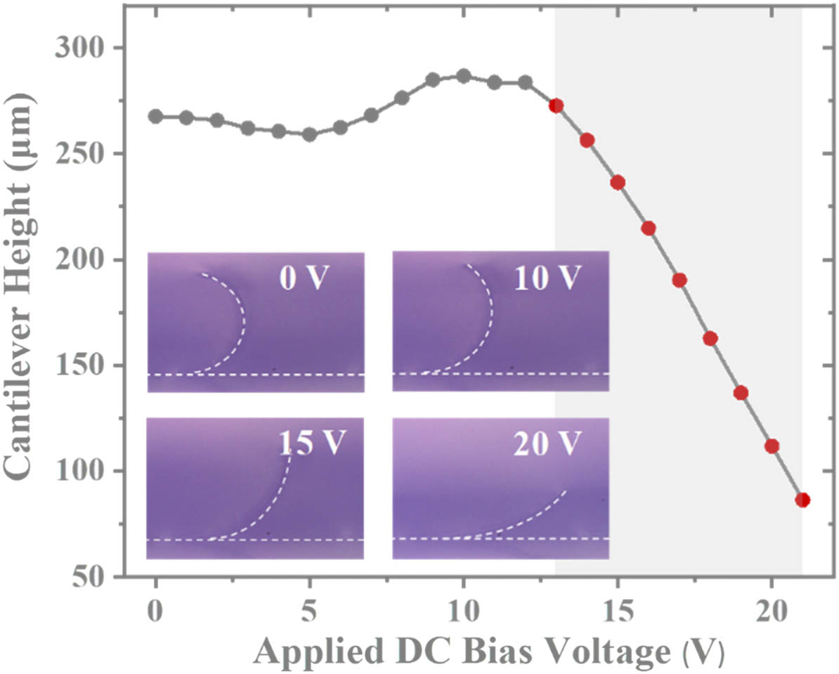 Relationship of cantilever heights and the applied DC bias voltages. Inserted optical images illustrate the bending deformations of MEMS-based WCM device under different DC bias voltages.