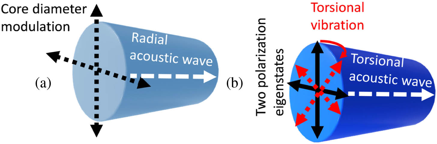 Acoustic modes in an optical fiber core: (a) radial mode, R0m; (b) torsional-radial mode, TR2m.