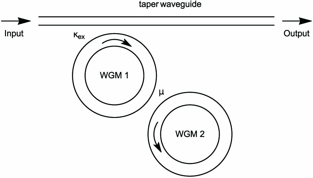 Schematic of the system consisting of two coupled whispering-gallery microcavities. We have not explicitly drawn the taper in the figure.
