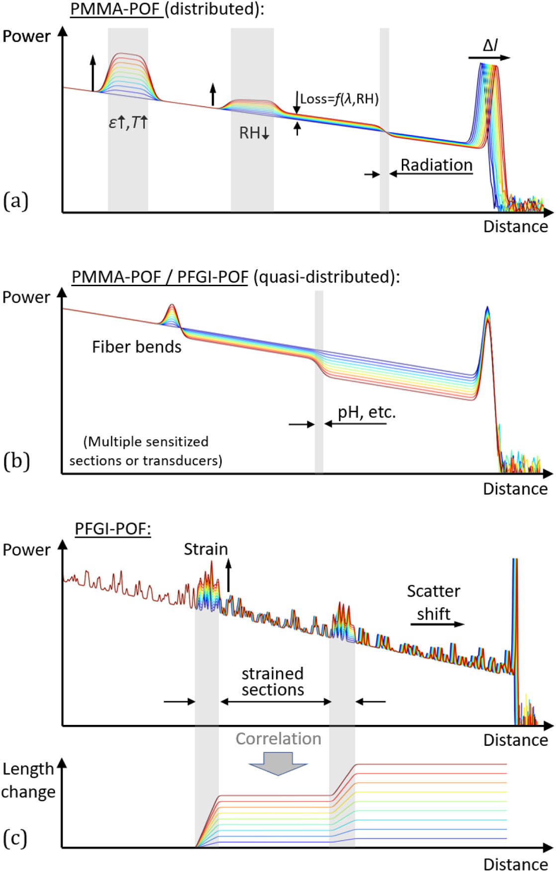 Schematic examples for Rayleigh-based techniques. (a) Distributed Rayleigh backscatter analysis for the measurement of strain changes ε, temperature T, radiation, and RH. Length change measurement due to Fresnel reflection shift is indicated. (b) Examples for quasi-distributed sensing based on sensitized fiber sections or transducing elements. (c) Example for distributed strain sensing in PFGI-POFs and the evaluation of length change distribution from backscatter shift analysis.