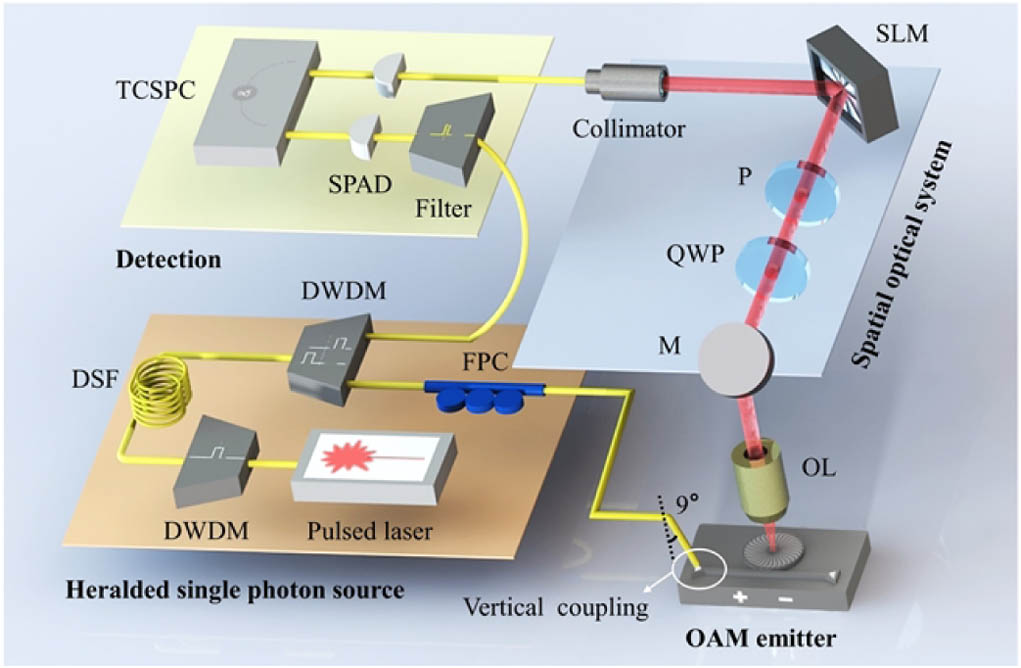 Experimental scheme consisting of the heralded single-photon source, OAM emitter, spatial optical system, and detector. FPC, fiber polarization controller; OL, objective lens; M, mirror; QWP, quarter-wave plate; P, polarizer.