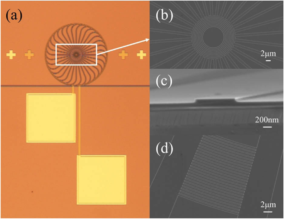 (a) Microscopic photograph of the OAM emitter; (b) scanning electron microscopy (SEM) image of the concentric scattering grating in the center of the OAM emitter; SEM images of (c) the shallow ridge waveguide and (d) the grating for vertical coupling.