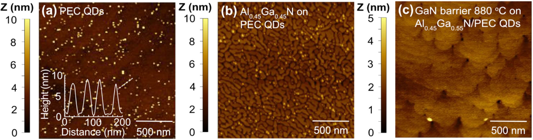 Atomic force microscope (AFM) images of a PEC QD template at different synthesized steps: (a) PEC QDs after etching, (b) PEC QDs with Al0.45Ga0.55N grown at 730°C and annealed at 880°C, and (c) PEC QDs with Al0.45Ga0.55N grown at 730°C and GaN barrier grown at 880°C. The AFM images demonstrate that Al0.45Ga0.55N can protect the PEC QDs against collapse.