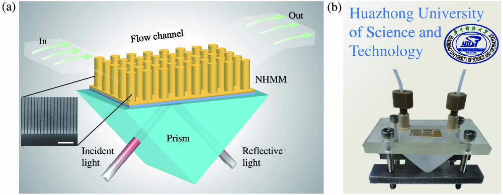 NHMM sensor integrated with microfluidics. (a) Schematic diagram of the NHMM sensor with a liquid flow channel and an SEM image of the fabricated nanorod array with a consistent period of 210 nm, diameter of 150 nm, and average height of 350 nm (scale bar, 1 µm). (b) Photo of the NHMM sensor and a prism integrated with a microfluidics system.